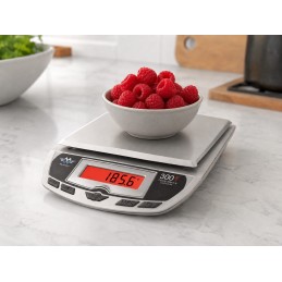 MyWeigh 3001P Silver 3000g-ig / 1g-ig